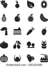 Solid Black Vector Icon Set - tomato vector, beet, carrot, a pineapple, mint, half pomegranate, grape, branch of, cornels, tasty mulberry, delicious plum, slice tangerine, guava, guawa, physalis