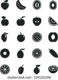 Solid Black Vector Icon Set - cucumber vector, peach, ripe, quince, red apple, tasty, mulberry, slice of water melon, mango, loquat, delicious plum, half, tangerine, passion fruit, orange, lemon