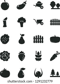 Solid Black Vector Icon Set - garden trolley vector, building, fence, hedge, tomato, carrot, strawberries, pear, mint, squash, raspberry, tasty plum, physalis, apple stub, broccoli, eggplant, trees