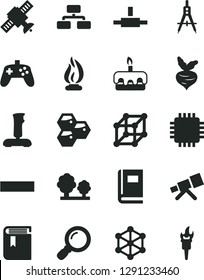 Solid Black Vector Icon Set - minus vector, book, flowchart, torte, honeycombs, beet, trees, Measuring compasses, cpu, connect, magnifier, joystick, telescope, satellite, flame, 3d cube, torch