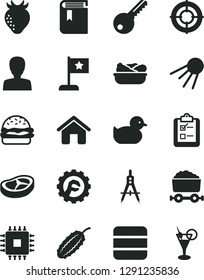 Solid Black Vector Icon Set - woman vector, book, baby duckling, house, key, star gear, survey, artificial satellite, burger, lettuce in a plate, bacon, strawberry, cucumber, Measuring compasses