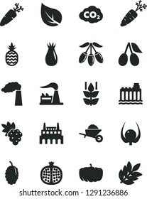 Solid Black Vector Icon Set - garden trolley vector, carrot, a pineapple, mint, half pomegranate, grape, rose hip, cornels, mulberry, goji berry, physalis, pumpkin, leaf, manufacture, factory