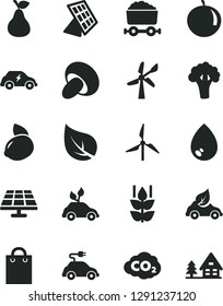 Solid Black Vector Icon Set - drop vector, porcini, pear, mint, tangerine, yellow lemon, broccoli, solar panel, leaf, windmill, wind energy, eco car, environmentally friendly transport, electric