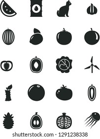 Solid Black Vector Icon Set - tomato vector, orange slice, half pomegranate, squash, melon, delicious plum, tangerine, loquat, sweet date fruit, yellow lemon, ripe pineapple, grapefruit, apple stub