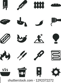 Solid Black Vector Icon Set - electronic thermometer vector e, mercury, heating coil, temperature, new radiator, boiler, loaf, Hot Dog, noodles, porridge, chop, barbecue, chili, coffe to go, flame