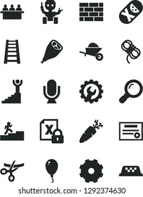 Solid Black Vector Icon Set - truck lorry vector, tumbler, balloon, brickwork, garden trolley, stepladder, hawser, gear, microphone, grill chicken leg, carrot, court hearing, encrypting, magnifier