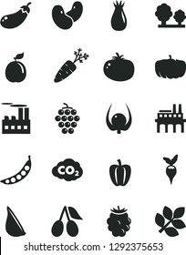 Solid Black Vector Icon Set - tomato vector, garlic, large grape, rose hip, cornels, blackberry, guava, physalis, Bell pepper, carrot, peas, beans, eggplant, radish, pumpkin, trees, enterprise