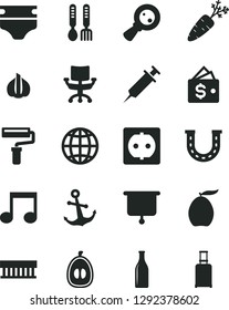 Solid Black Vector Icon Set - paint roller vector, diaper, iron fork spoons, earth, anchor, loquat, half, garlic, carrot, power socket, Glass bottle, magnifying, radiator fan, note, chair, syringe