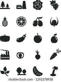 Solid Black Vector Icon Set - beet vector, a pineapple, grape, squash, tasty cornels, slice of tangerine, plum, juicy lemon, guava, physalis, half tomato, carrot, eggplant, pumpkin, leaves, trees