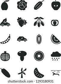 Solid Black Vector Icon Set - rainy cloud vector, mushroom, cucumber, half pomegranate, branch of grape, squash, tasty apple, slice water melon, loquat, goji berry, tangerine, sweet date fruit, kiwi