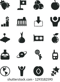 Solid Black Vector Icon Set - toy mobile phone vector, yule, put in a box, move down, branch of grape, plum, blueberry, blueberries, tasty, onion, planet Earth, hydroelectricity, gpu card, saturn