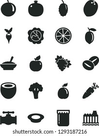 Solid Black Vector Icon Set - a bowl of buckwheat porridge vector, plate milk, carrot, coffee beans, jam, pomegranate, branch grape, squash, apricot, mulberry, tangerine, lemon, slice, guava, radish