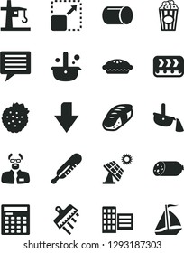 Solid Black Vector Icon Set - image of thought vector, downward direction, mercury thermometer, city block, spatula, expand picture, sausage, pie, sushi, cup popcorn, strawberries, big solar panel