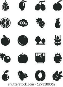 Solid Black Vector Icon Set - a glass of tea vector, blueberries, orange, mint, ripe peach, apple, grape, branch, rose hip, blackberry, blueberry, tasty cornels, mango, half, juicy lemon, delicious