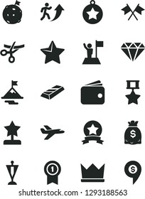 Solid Black Vector Icon Set - star vector, wallet, dollars, reward, man arrow up, medal, with flag, motivation, on moon, pennant, hero, ribbon, diamond, gold bar, cross flags, crown, private plane