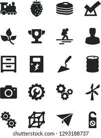 Solid Black Vector Icon Set - camera vector, building trowel, gear, dangers, nightstand, pancakes, tasty raspberry, leaves, wind energy, barrel, woman, gears, 3d cube, prize, confirm, paper plane