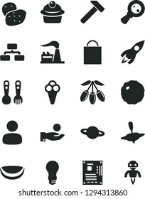 Solid Black Vector Icon Set - paper bag vector, plastic fork spoons, small yule, hammer, flowchart, planet, muffin, cabbage, cone, goji berry, piece of coconut, potato, factory, light bulb, man