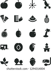 Solid Black Vector Icon Set - summer stroller vector, a pineapple, ripe peach, apricot, plum, raspberry, mango, tasty, passion fruit, half of guawa, slice water melon, leaves, trees, sand castle