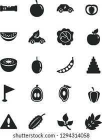 Solid Black Vector Icon Set - warning vector, pennant, stacking toy, construction level, squash, apricot, half of mango, water melon slice, loquat, tasty plum, passion fruit, kiwi, tomato, peas