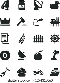 Solid Black Vector Icon Set - hammer of a judge vector, baby duckling, hedge, bell, move right, muffin, jar jam, ripe peach, half apricot, industrial enterprise, satellite dish, antenna, crown