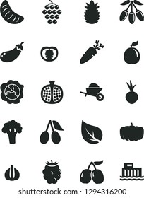 Solid Black Vector Icon Set - garden trolley vector, beet, carrot, half pomegranate, large grape, squash, cornels, blackberry, tasty, goji berry, slice of tangerine, guava, ripe pineapple, tomato