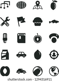 Solid Black Vector Icon Set - book vector, toys over the cot, baby bath ball, motor vehicle, small tools, map, flag, package, cake, fish, half peach, cherry, lemon, lime, mashroom, retro car, globe