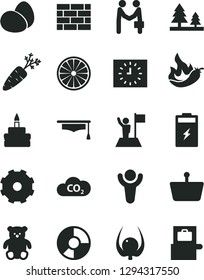 Solid Black Vector Icon Set - truck lorry vector, small teddy bear, brickwork, eggs, birthday cake, half of orange, physalis, hot pepper, carrot, charging battery, forest, CO2, shopping basket