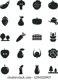 Solid Black Vector Icon Set - garden trolley vector, fence, tomato, carrot, strawberries, pear, mint, squash, tasty apple, raspberry, rose hip, plum, physalis, stub, broccoli, eggplant, pumpkin