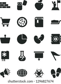 Solid Black Vector Icon Set - wind direction indicator vector, pie chart, book, brick wall, address, cart, pizza, cake slice, red apple, beans, flask, shopping basket, globe, loudspeaker, usb flash