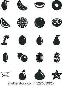 Solid Black Vector Icon Set - blueberries vector, orange slice, fig, melon, mango, date fruit, of tangerine, passion, lime, half, guava, piece coconut, pineapple, grapefruit, ripe, beach, palm tree
