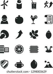 Solid Black Vector Icon Set - mug for feeding vector, powder, city block, porcini, a glass of soda, cocktail, pomegranate, juicy lemon, lime, tamarillo, wind energy, racer, weaving, research article