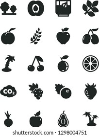 Solid Black Vector Icon Set - beet vector, a glass of tea, blueberries, cherry, ripe peach, half apricot, grape, red apple, strawberry, blueberry, tasty cornels, juicy lemon, part guava, trees