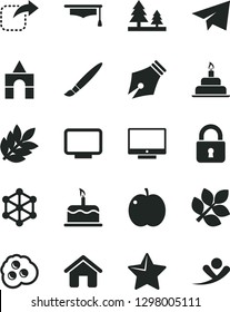 Solid Black Vector Icon Set - tassel vector, paper airplane, box of bricks, birthday cake, house, lock, star, screen, move right, omelette, apple, forest, monitor, graduate hat, biology, 3d cube