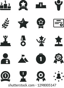 Solid Black Vector Icon Set - star vector, pedestal, medal, winner, laurel branch, podium, award, cup, reward, man with, mountain flag, first place, ribbon, certificate, stars around