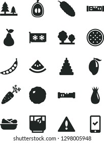 Solid Black Vector Icon Set - warning vector, stacking toy, construction level, building, lettuce in a plate, cabbage, cucumber, glass of tea, pear, rose hip, mango, half loquat, passion fruit, peas