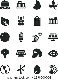 Solid Black Vector Icon Set - drop vector, porcini, cabbage, mint, yellow lemon, broccoli, solar panel, big, leaves, leaf, wind energy, planet Earth, hydroelectric station, hydroelectricity, bag