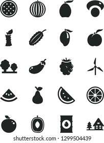 Solid Black Vector Icon Set - pear vector, orange slice, ripe peach, blackberry, water melon, mango, loquat, delicious plum, juicy lemon, half of passion fruit, apple, stub, mashroom, cucumber, oil