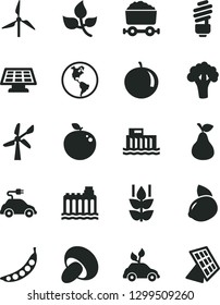 Solid Black Vector Icon Set - saving light bulb vector, porcini, pear, mint, tangerine, yellow lemon, delicious apple, peas, broccoli, leaves, windmill, wind energy, planet Earth, hydroelectricity