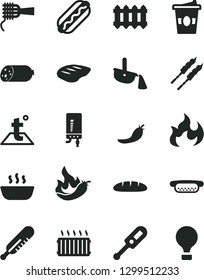 Solid Black Vector Icon Set - electronic thermometer vector e, mercury, temperature, new radiator, boiler, sausage, loaf, Hot Dog, mini, noodles, porridge, chop, barbecue, coffe to go, red pepper
