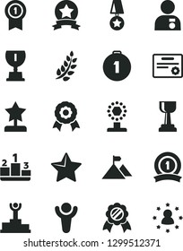 Solid Black Vector Icon Set - star vector, pedestal, medal, winner, laurel branch, podium, award, cup, gold, reward, man with, mountain flag, first place, pennant, ribbon, certificate, stars around