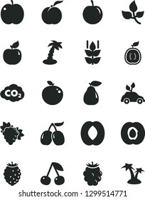 Solid Black Vector Icon Set - mint vector, cherry, ripe peach, apple, half apricot, branch of grape, pear, blackberry, tasty raspberry, cornels, plum, delicious, guawa, leaves, carbon dyoxide