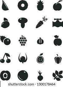 Solid Black Vector Icon Set - mushroom vector, beet, garlic, blueberries, orange, cherry, peach, ripe, half apricot, large grape, yellow lemon, of guawa, pineapple, slice, physalis, pepper, carrot