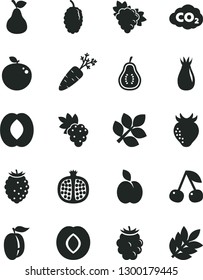 Solid Black Vector Icon Set - apple vector, pear, cherry, half pomegranate, grape, branch of, plum, strawberry, rose hip, blackberry, tasty raspberry, mulberry, peach, ripe, delicious, part guava
