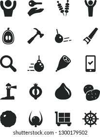 Solid Black Vector Icon Set - cargo trolley vector, magnifier, big core, hand saw, hammer with claw, fried vegetables on sticks, grill chicken leg, cabbage, fig, half of medlar, loquat, physalis