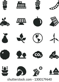 Solid Black Vector Icon Set - saving light bulb vector, porcini, cabbage, pear, mint, tangerine, peas, big solar panel, leaves, windmill, planet Earth, hydroelectric station, trees, energy, eco car
