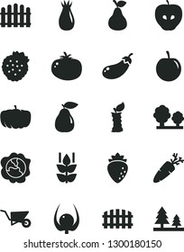 Solid Black Vector Icon Set - building trolley vector, fence, hedge, tomato, carrot, strawberries, pear, mint, squash, tasty apple, raspberry, rose hip, plum, physalis, stub, eggplant, pumpkin