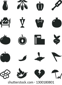 Solid Black Vector Icon Set - wind direction indicator vector, electronic thermometer e, small yule, concrete mixer, broken heart, tomato, peper, popcorn, apple, pomegranate, rose hip, goji berry