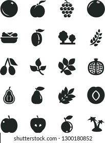 Solid Black Vector Icon Set - lettuce in a plate vector, orange, ripe peach, apple, half pomegranate, large grape, pear, tasty, plum, cornels, blueberry, grapefruit, part of guava, leaves, trees