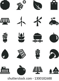 Solid Black Vector Icon Set - saving light bulb vector, drop, porcini, cabbage, mint, tangerine, delicious apple, solar panel, big, leaf, windmill, wind energy, hydroelectric station, electric car