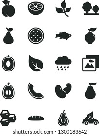 Solid Black Vector Icon Set - rainy cloud vector, picture, loaf, fish, pear, honeycombs, peach, quince, slice of melon, delicious plum, half loquat, passion fruit, grapefruit, ripe guava, part, leaf